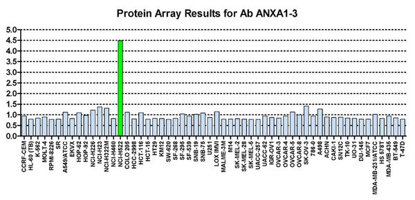 Protein Array in which CPTC-ANXA1-3 is screened against the NCI60 cell line panel for expression. Data is normalized to a mean signal of 1.0 and standard deviation of 0.5. Result: Positive. 